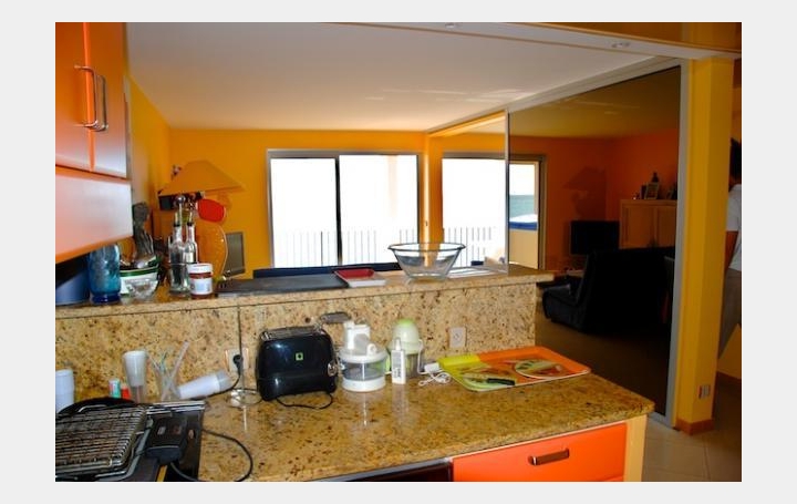 Annonces PRAYSSAC : Appartement | PALAVAS-LES-FLOTS (34250) | 56 m2 | 356 000 € 